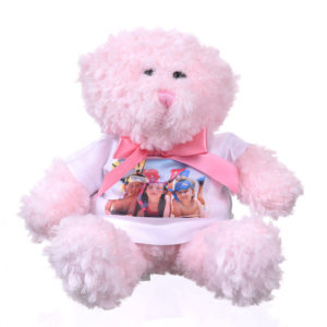 Knuffel met foto teddybeer roze